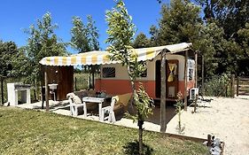 Playa&Campo - Experiencia Glamping en Mar de Ajó